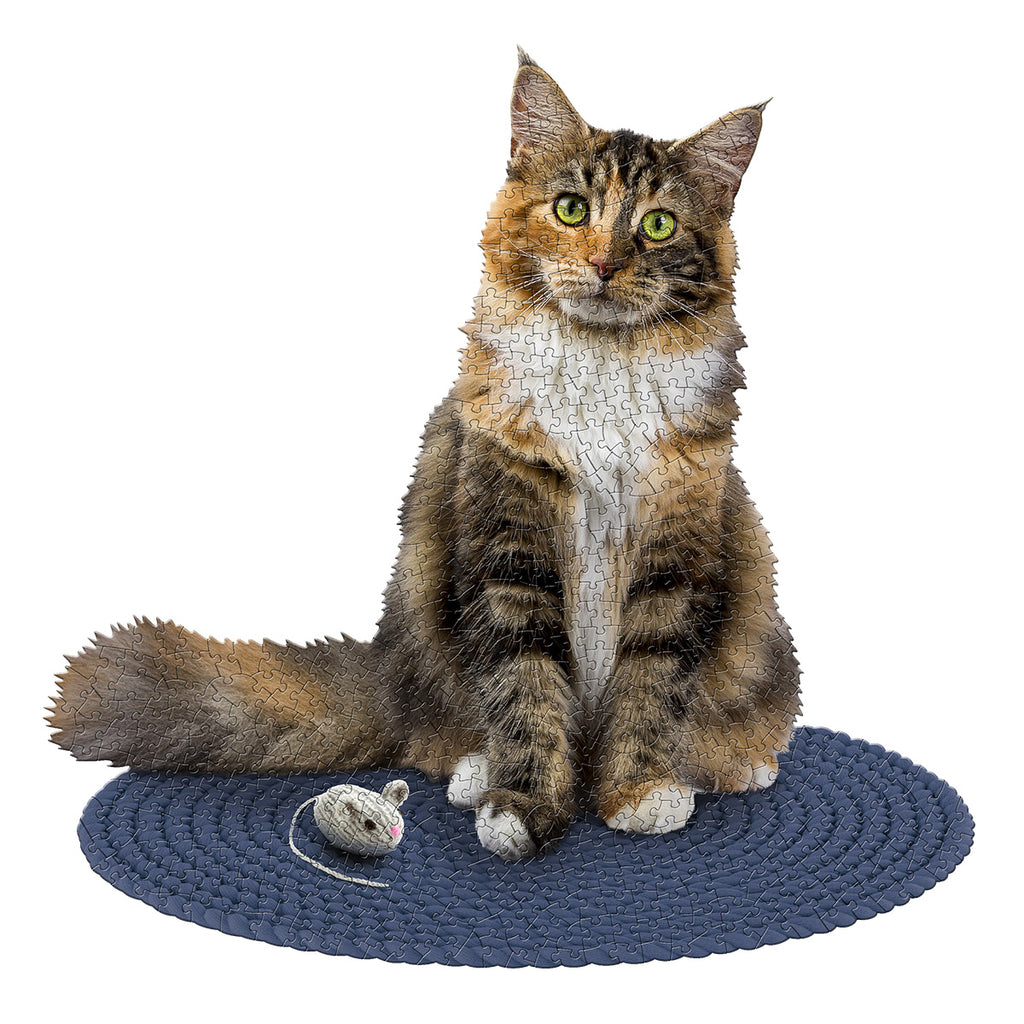 I AM CAT 550 – Madd Capp Games