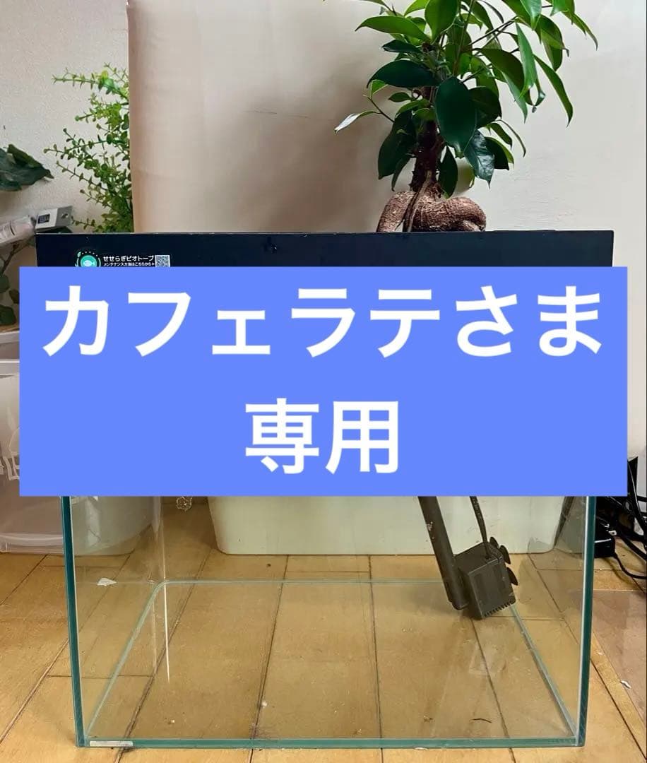 カフェラテさま専用西条庭園 せせらぎビオトープセット カフェラテさま専用西条庭園 せせらぎビオトープセット