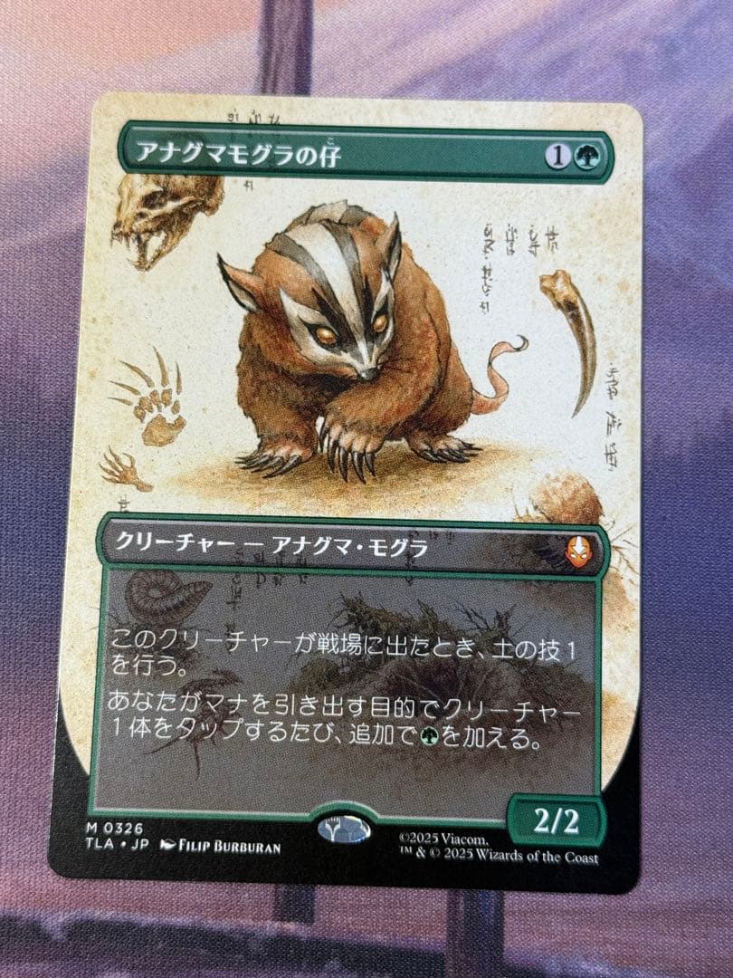 MTG/TLA/アナグマモグラの仔/ボーダレス/1枚 アナグマモグラ (Badgermole) · Avatar: The Last Airbender (TLA